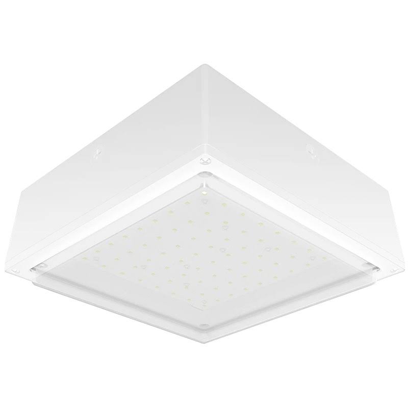 Frosted 10W Cool LED Drop Lens WH Q713