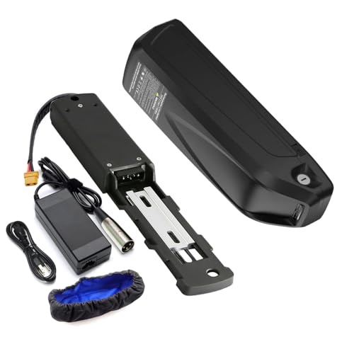 Black 48V 20Ah Electric Bicycle Lithium Battery with Charger G523