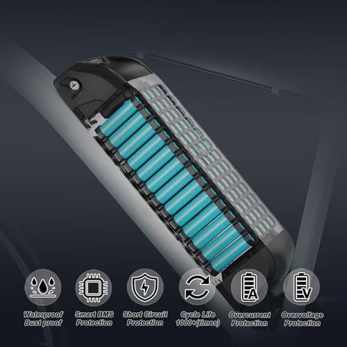 Black 48V 20Ah Electric Bicycle Lithium Battery with Charger G523