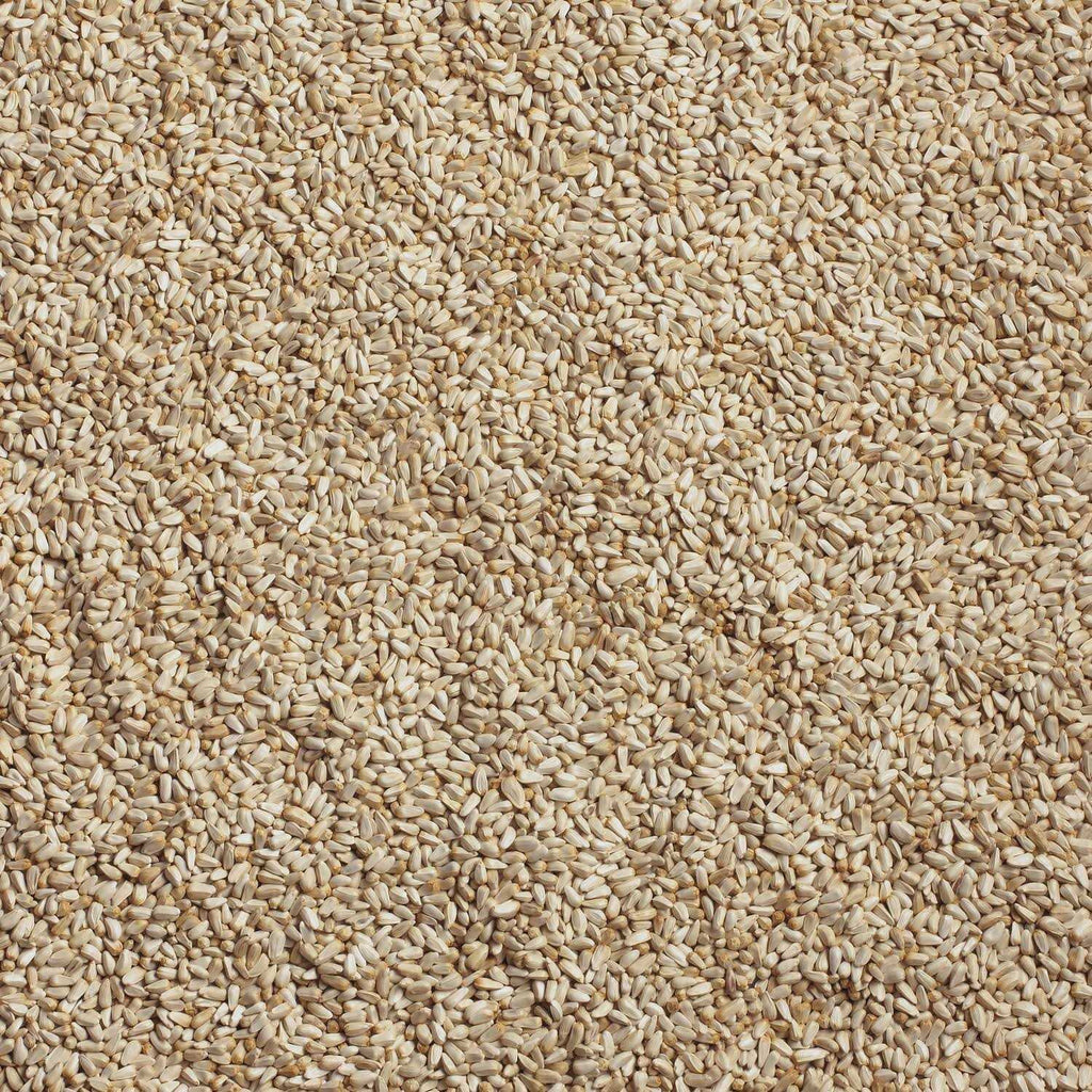 Safflower A29134