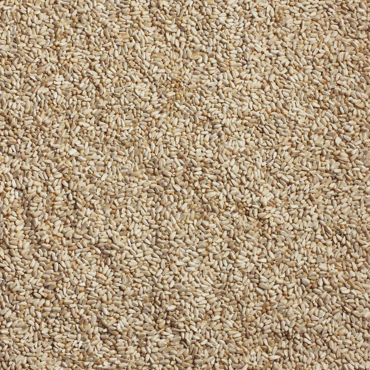 Safflower A29134