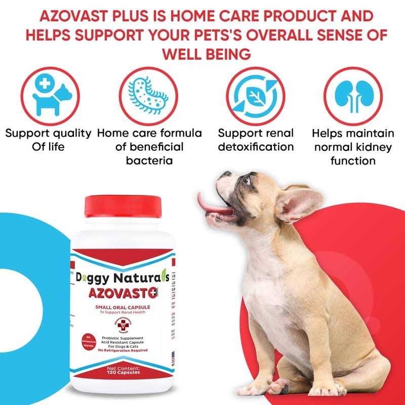 Kidney Health Supplement for Dogs & Cats H20287