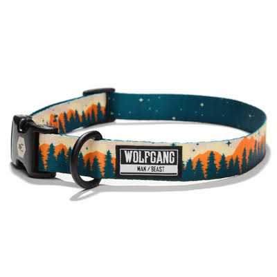 Dog Collar X936540