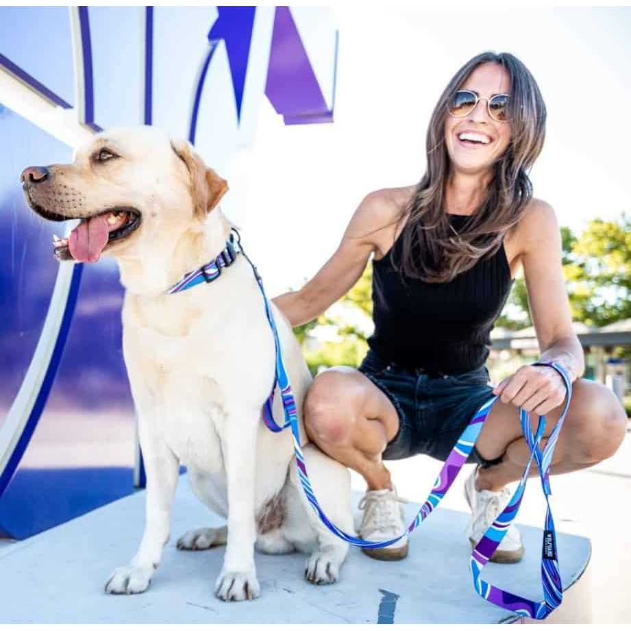 Dog Collar X936540
