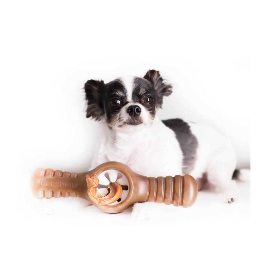 Bacon Dog Chew Toy B434