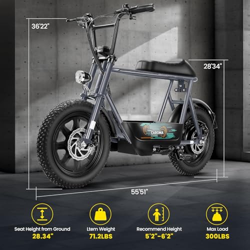 Electric Scooter with Seat, Fat Tire, Storage Basket Z988