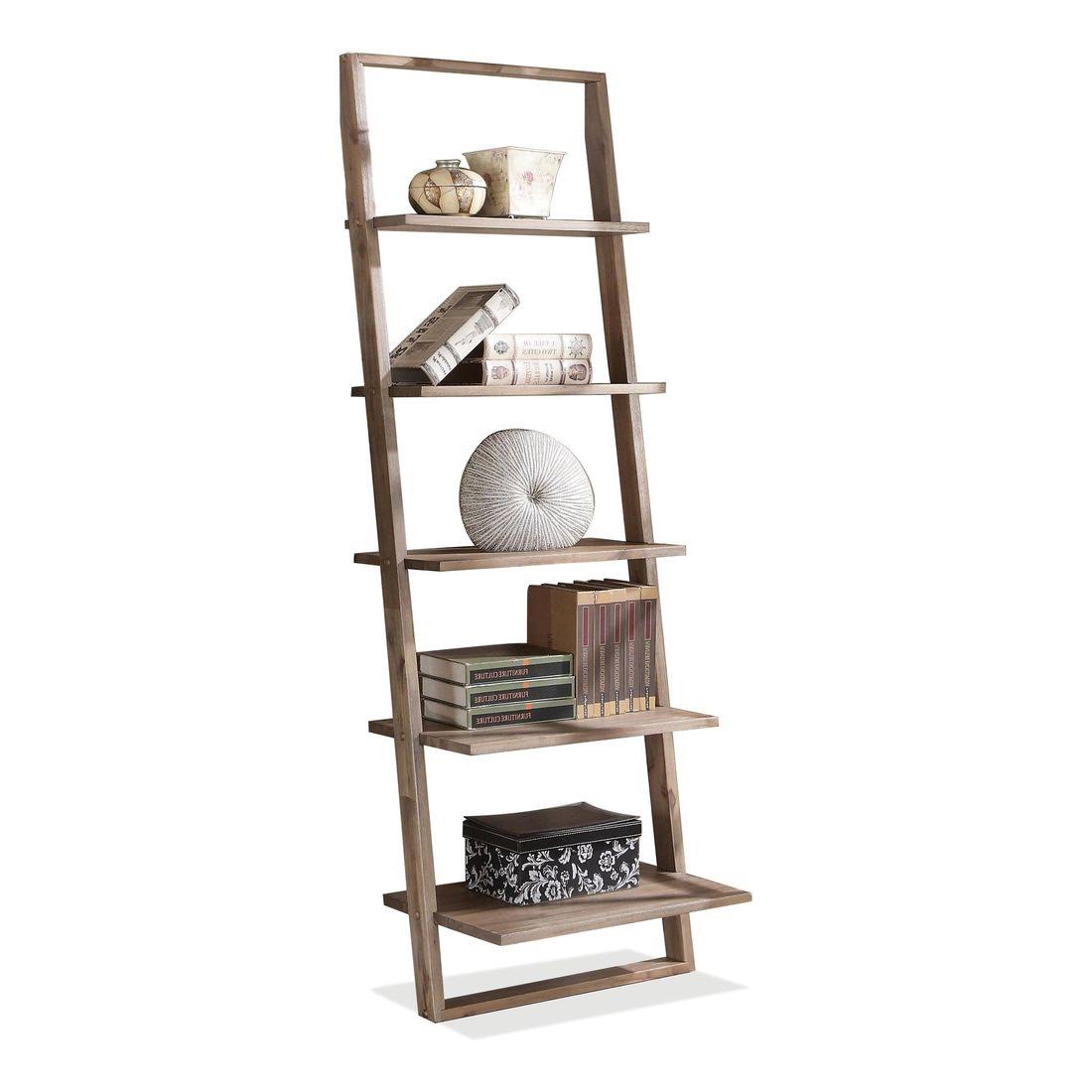 Smoky Driftwood Leaning Bookcase B451