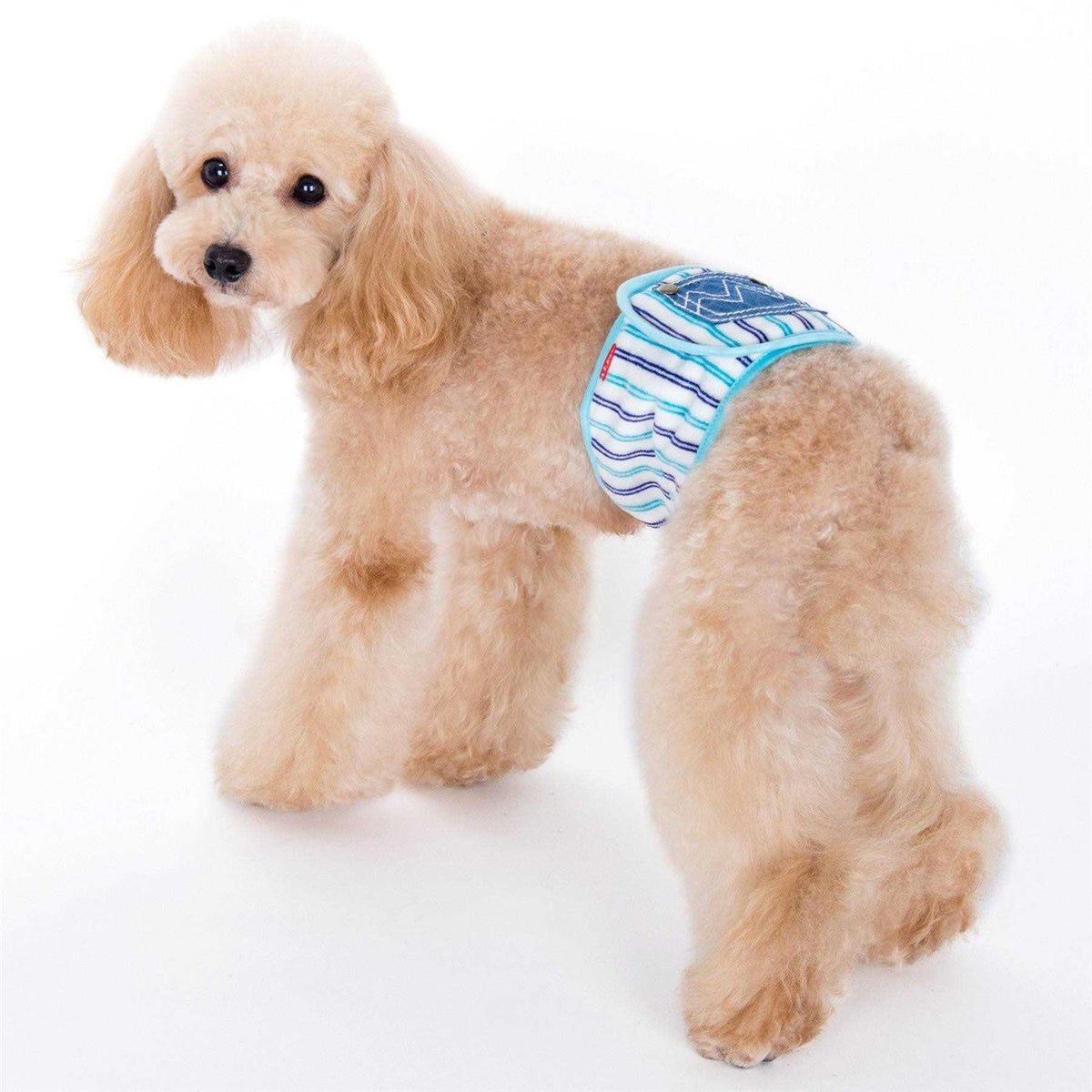 Pet Belly Band Q58555