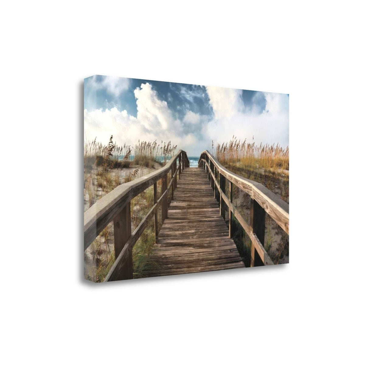 Fine Art Giclee Print W169458