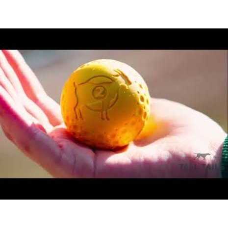 Goat Sport Ball Dog Toy Z5031
