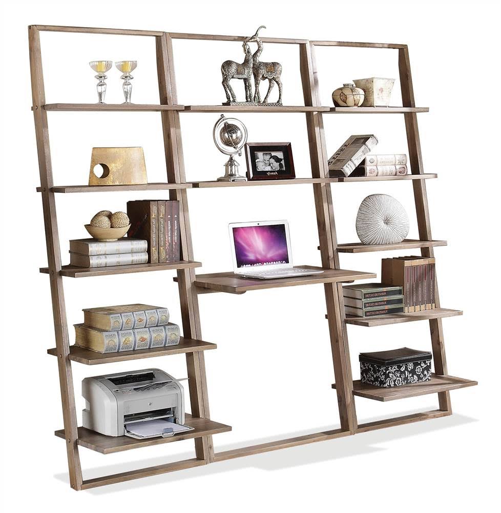 Smoky Driftwood Leaning Bookcase B451
