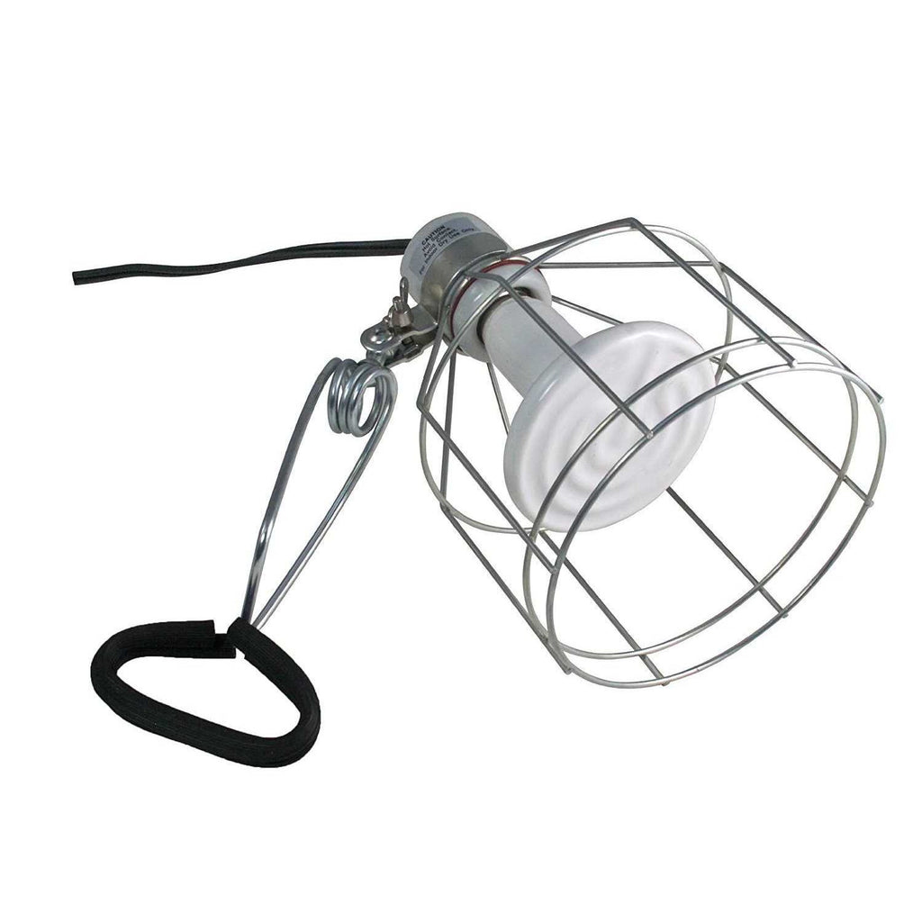 Wire Cage Clamp Lamp U9324