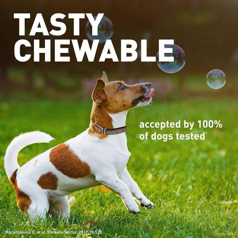 Chewable Tablet for Dogs 25.1-50 lbs P495