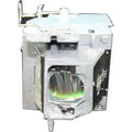 Projector Lamp Y43100