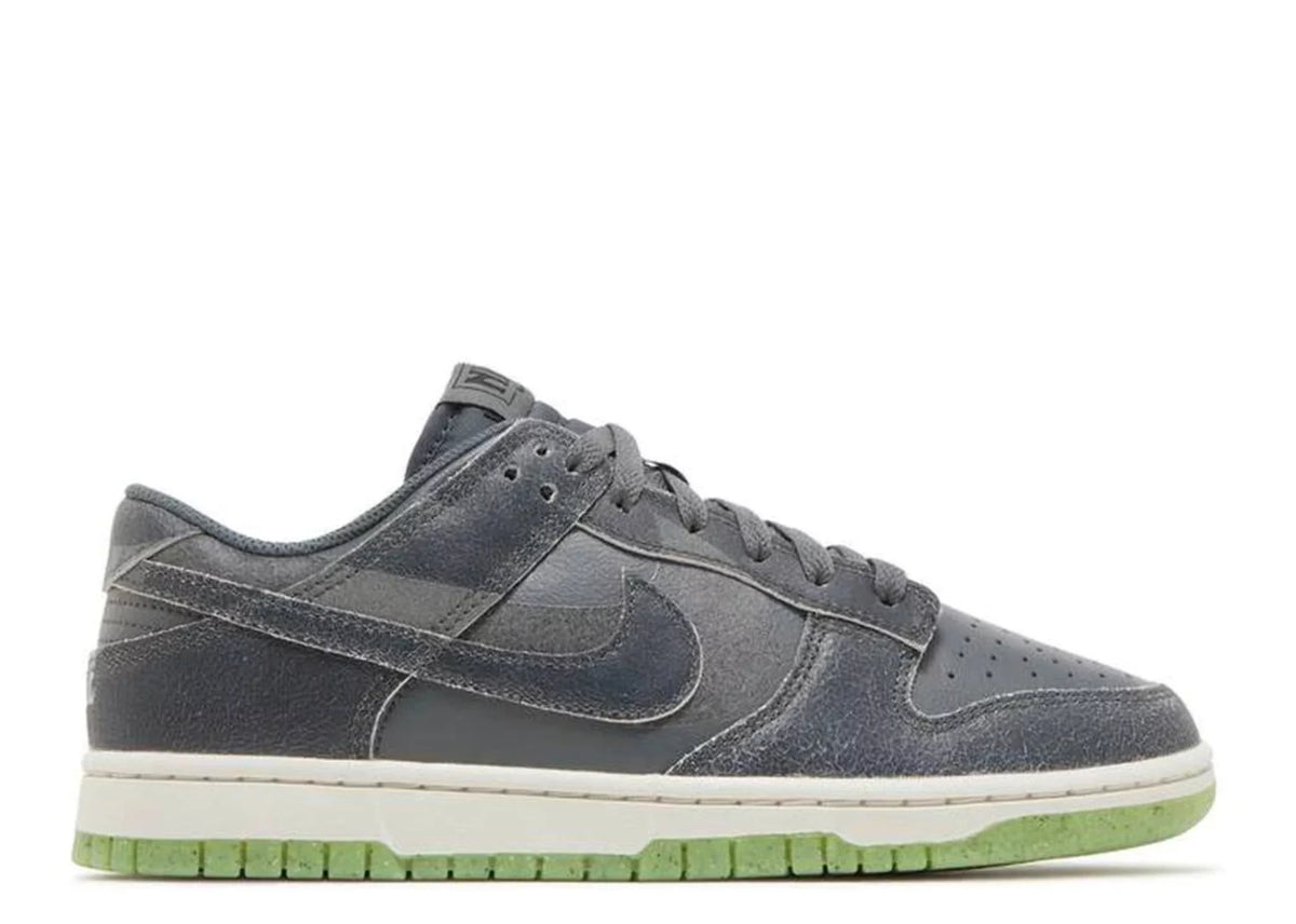 Men's Low Retro Shoes A7238
