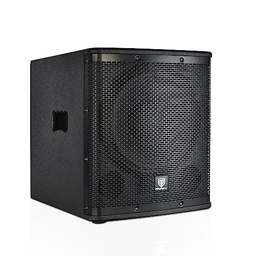 12 inch 1000W Powered PA Subwoofer with Class-D Amplifier V5129