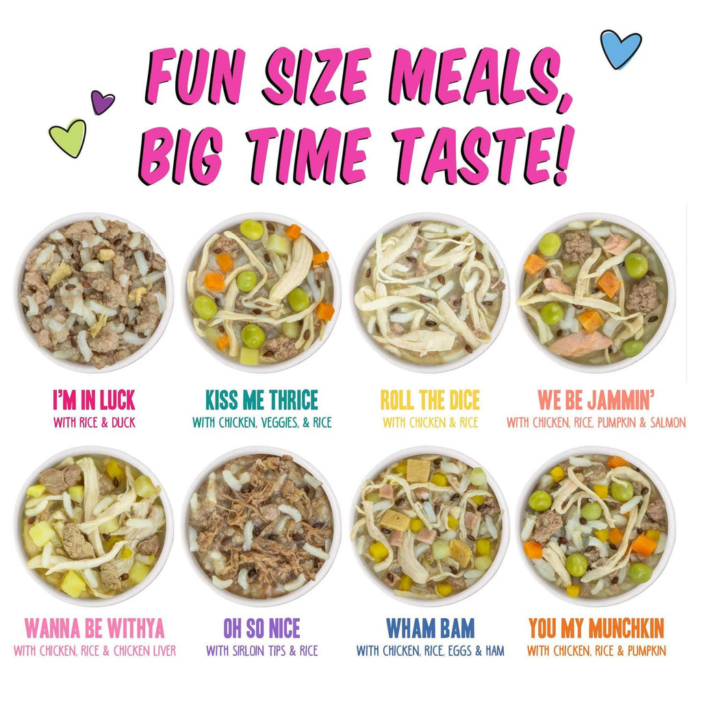 Wet Dog Food Variety Pack I791