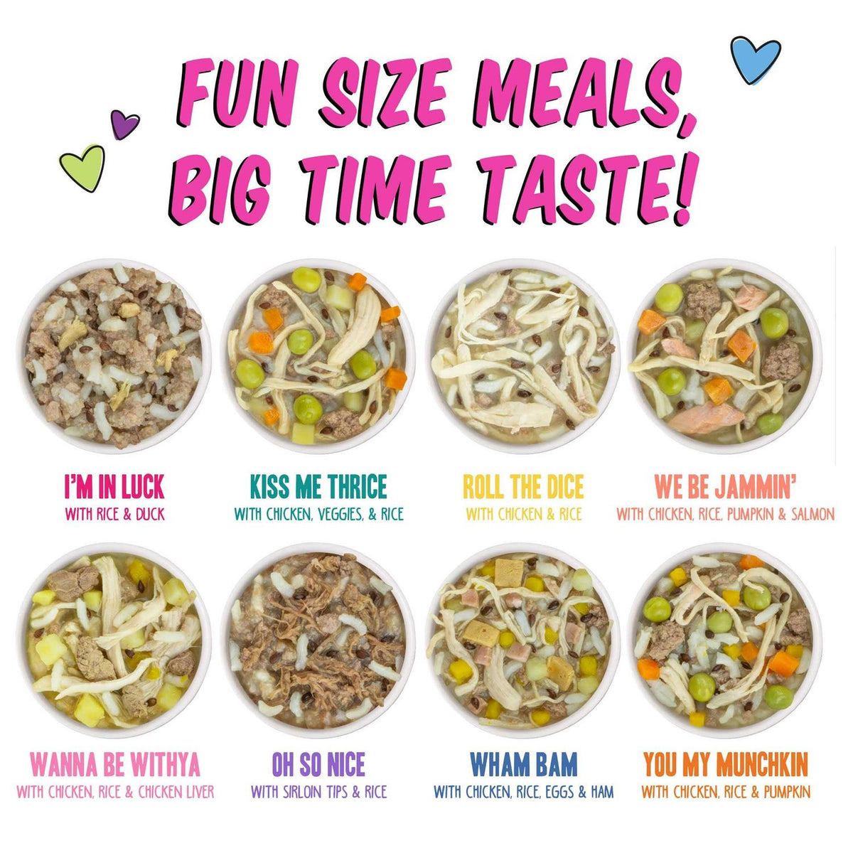 Wet Dog Food Variety Pack I791