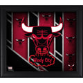 Framed 15x22 x 17x22 Hardwood Classic Logo Collage X35352