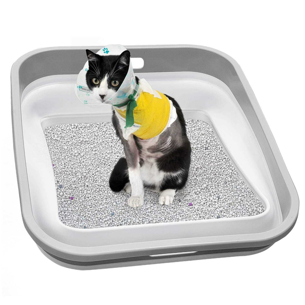 Low Entry Open Cat Litter Box L6149