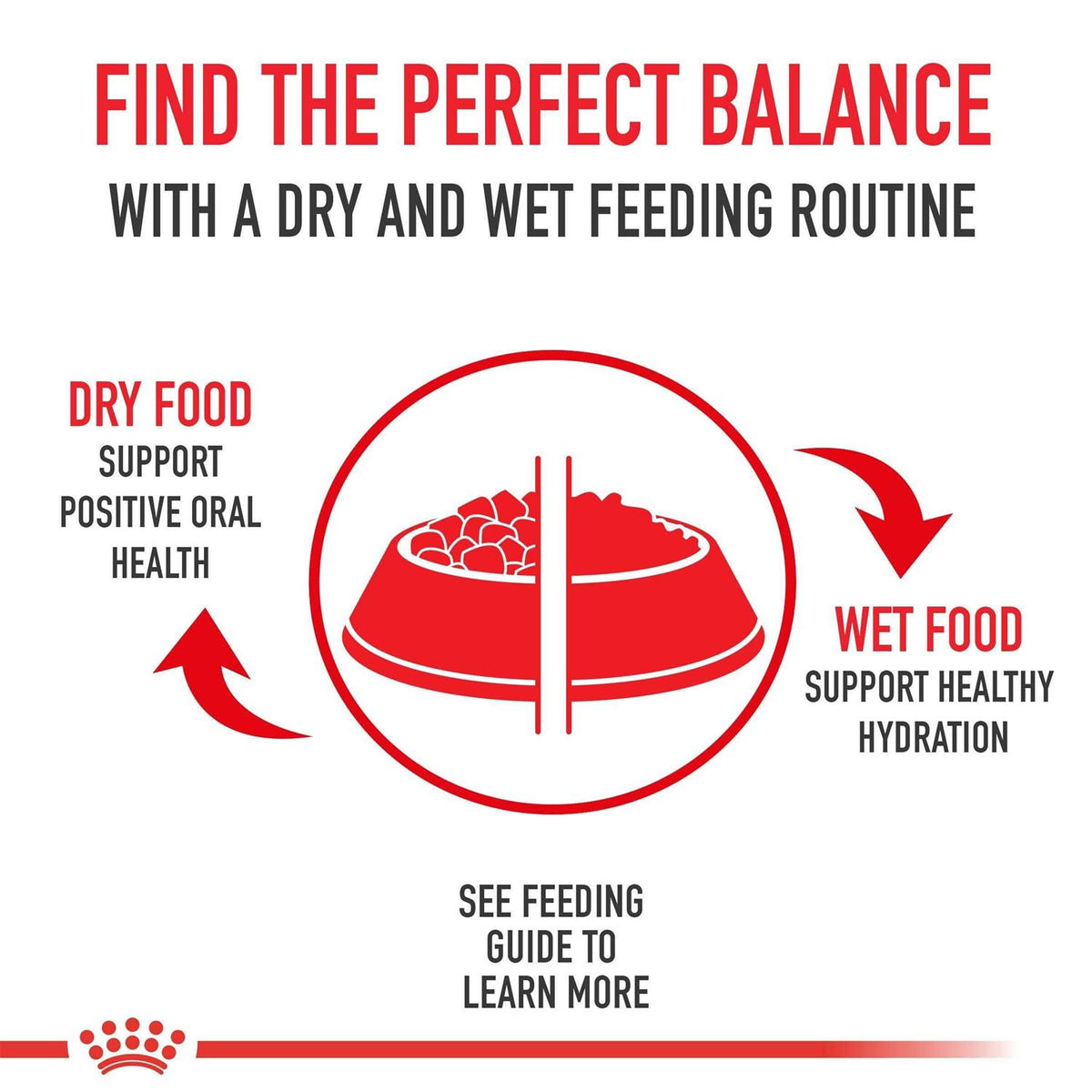 Medium Weight Care Dry Dog Food T97198