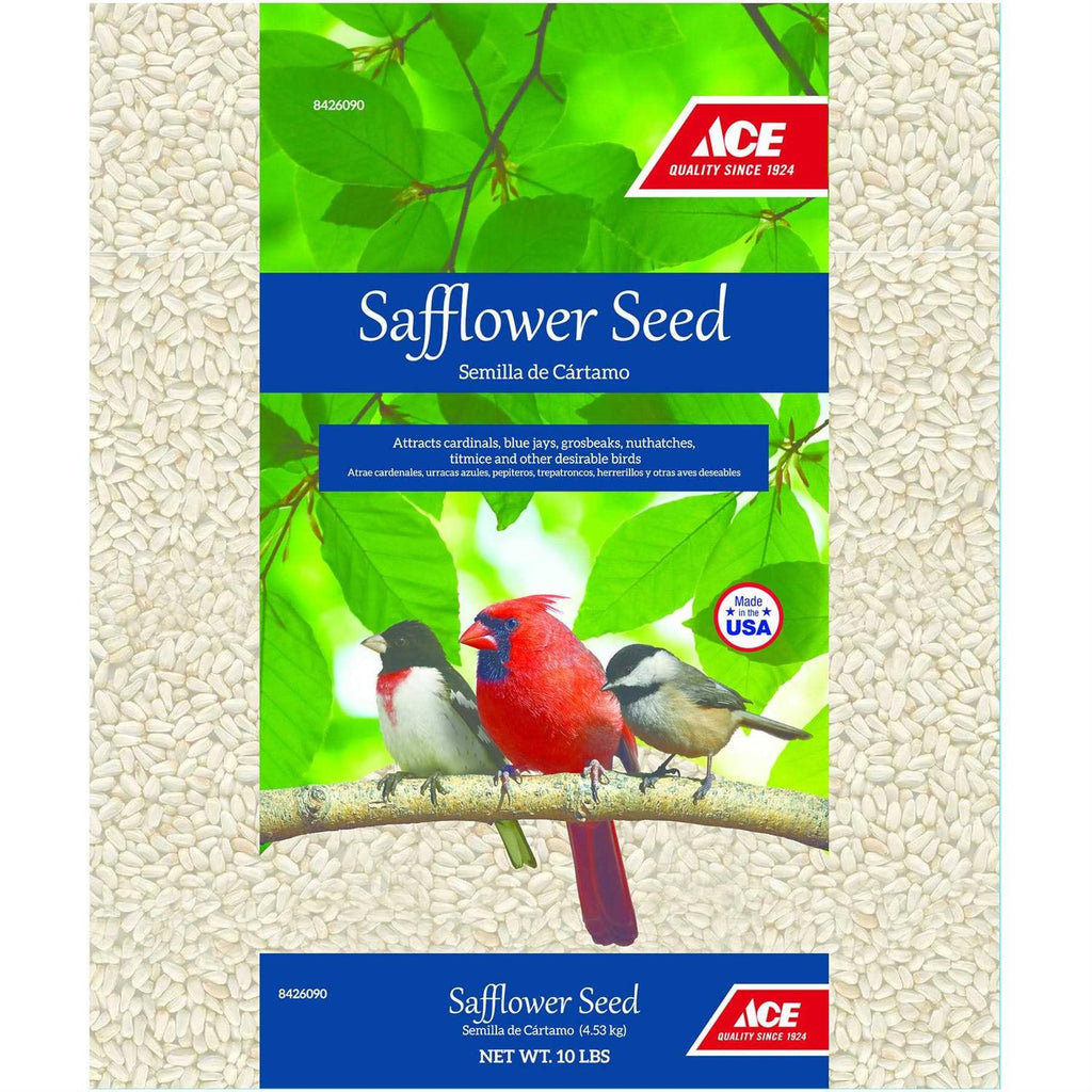 Safflower A29134