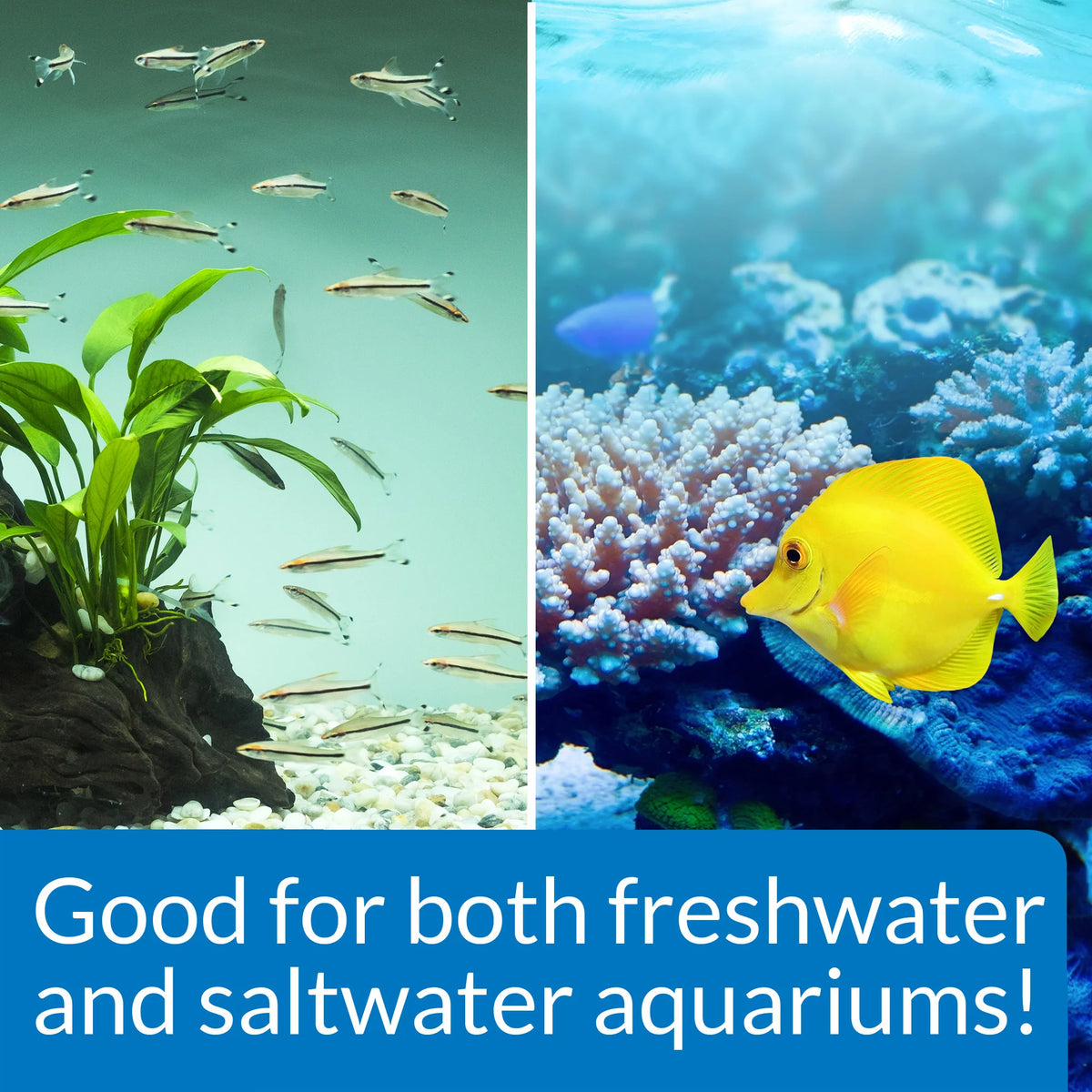 Freshwater And Saltwater Aquarium Cleaning Solution 1 Gal L1078