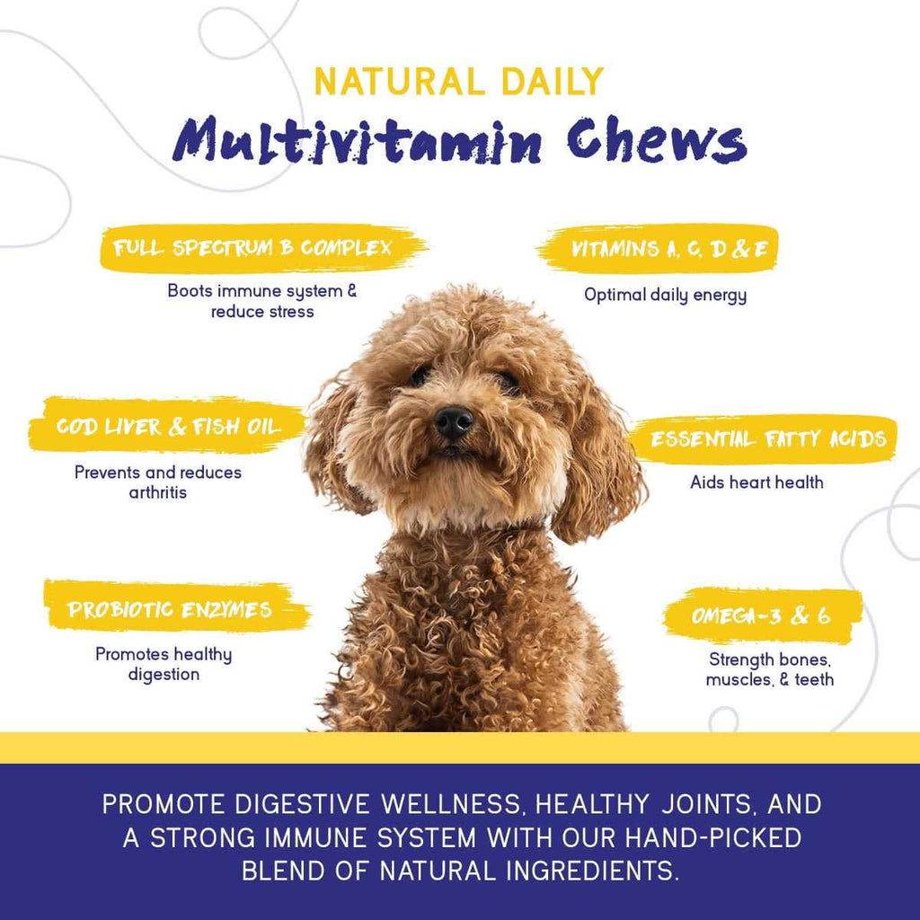 Multivitamin Chew C2401