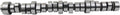 Camshaft Kit for Dodge Ram 1500 5.7L Hemi F675007