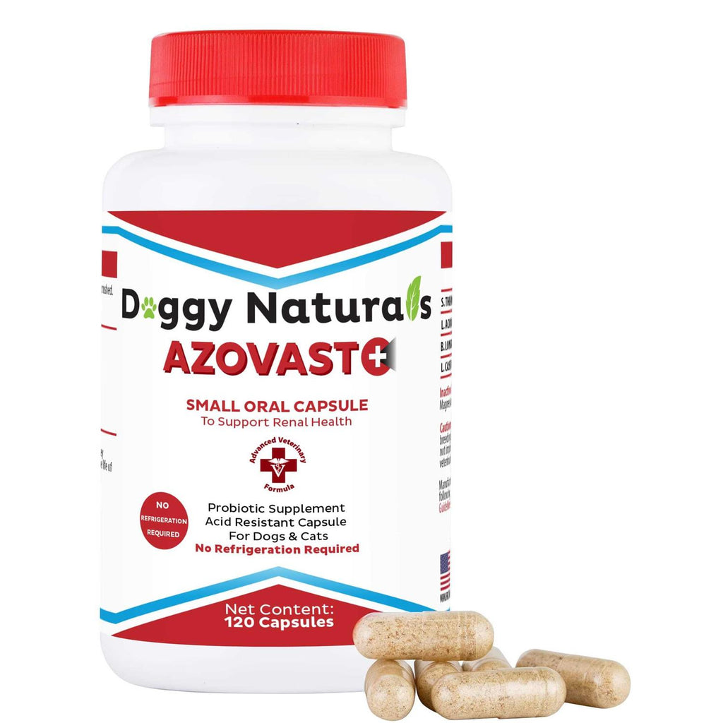 Kidney Health Supplement for Dogs & Cats H20287