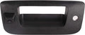 Black Tailgate Handle with Backup Camera X752236