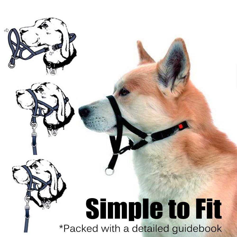 Dog Head Collar No Pull Training Tool K4277