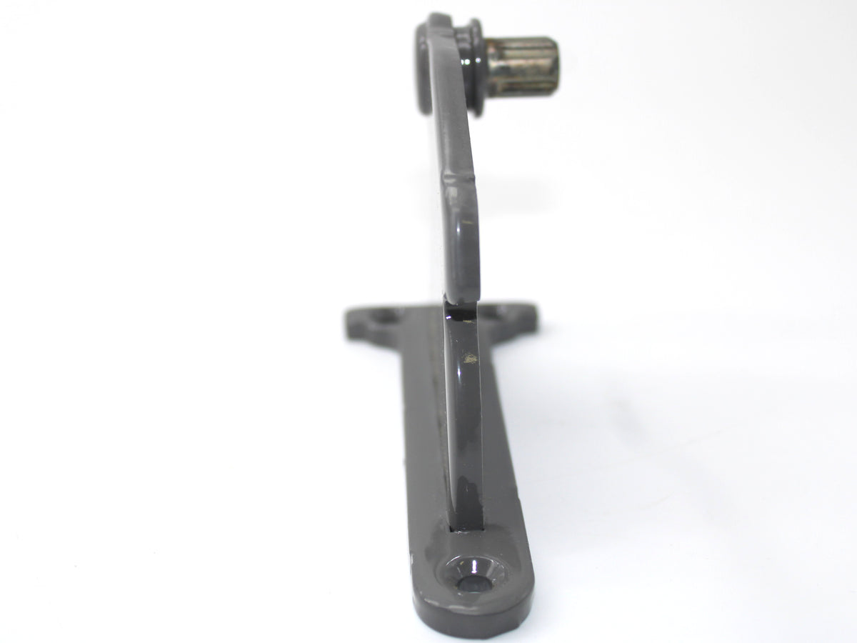 Hinge-door Z264