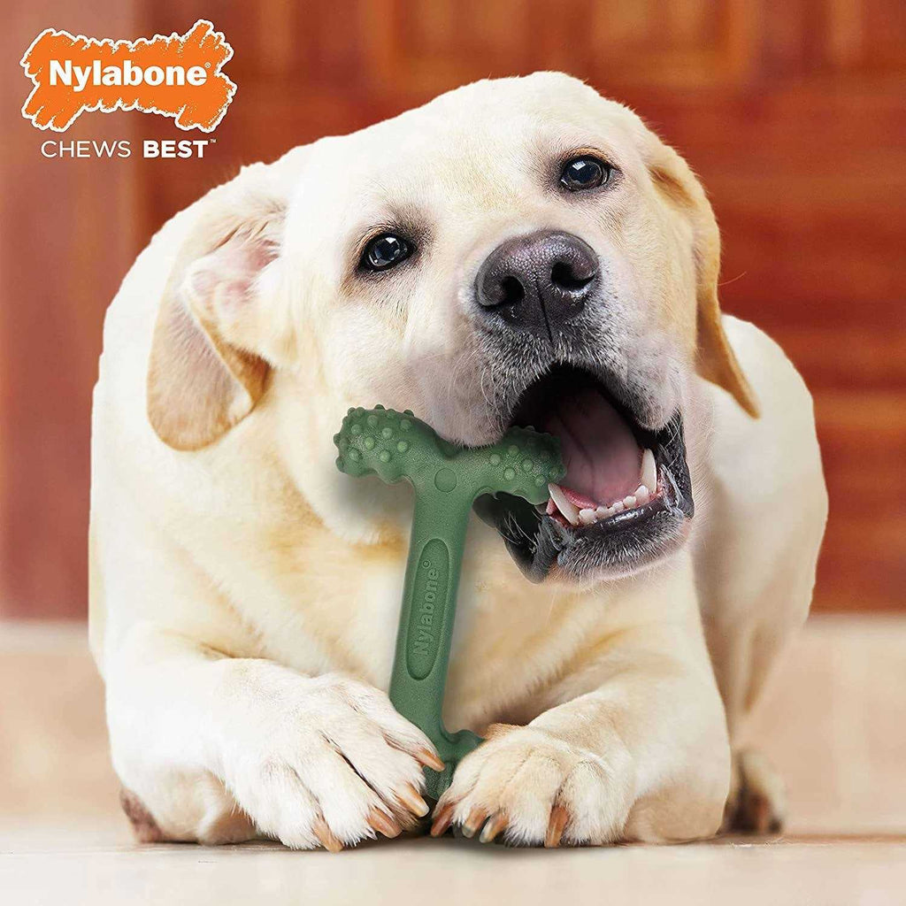 Bacon Dental Dog Chew Toy F723526