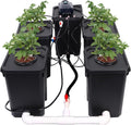 7-Gallon Recirculating Deep Water Culture Hydroponic System Kit H151
