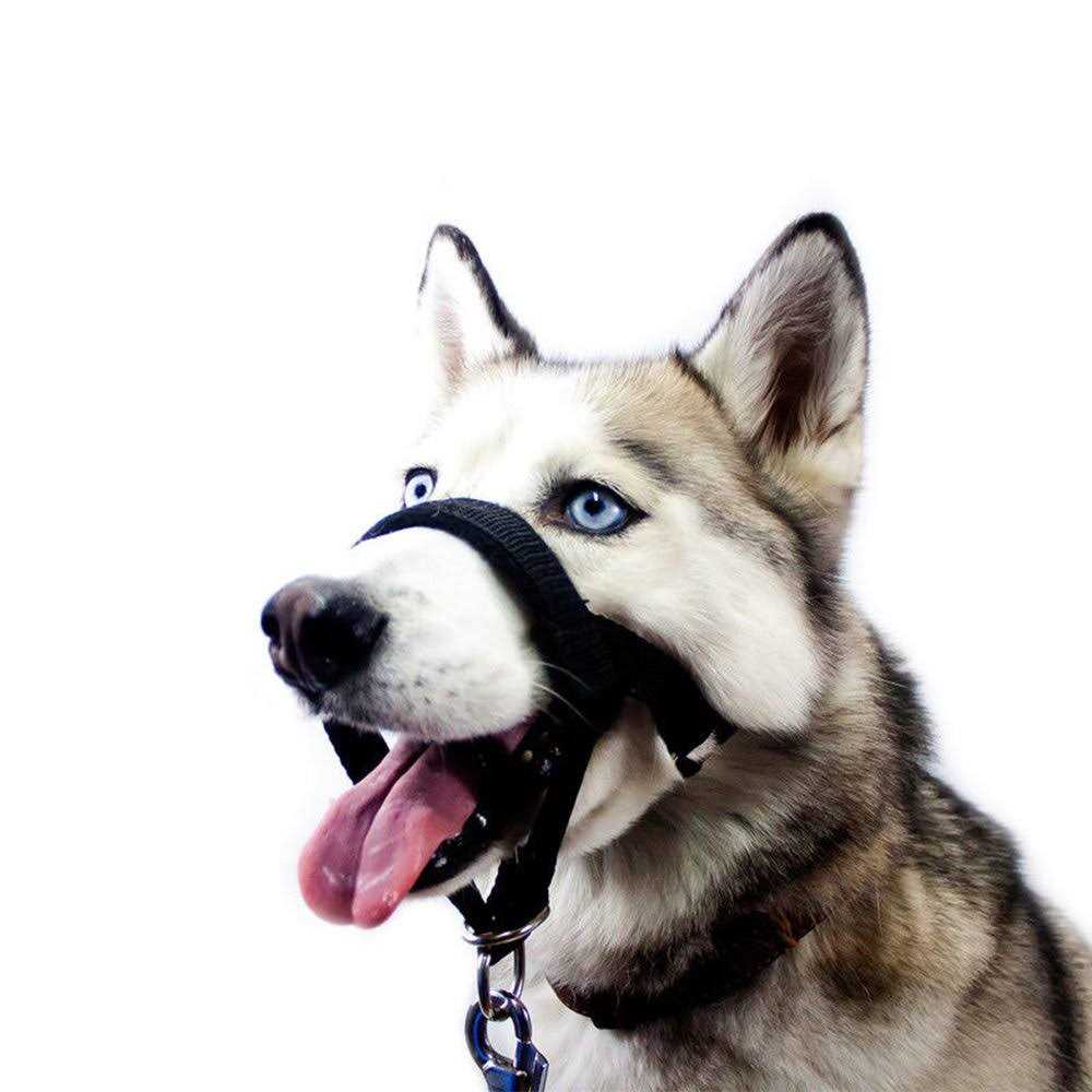 Dog Head Collar No Pull Training Tool K4277