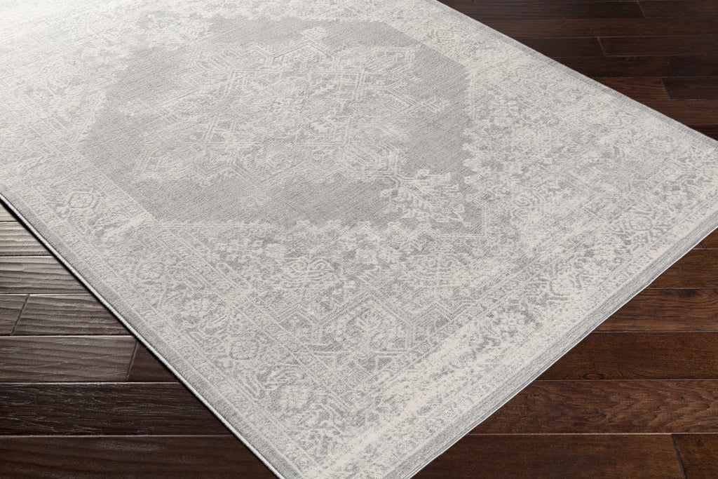 Gray Area Rug X913