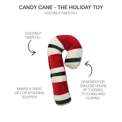 Durable Cotton Canvas Stuffed Dog Toys with Coconut Fill N104057