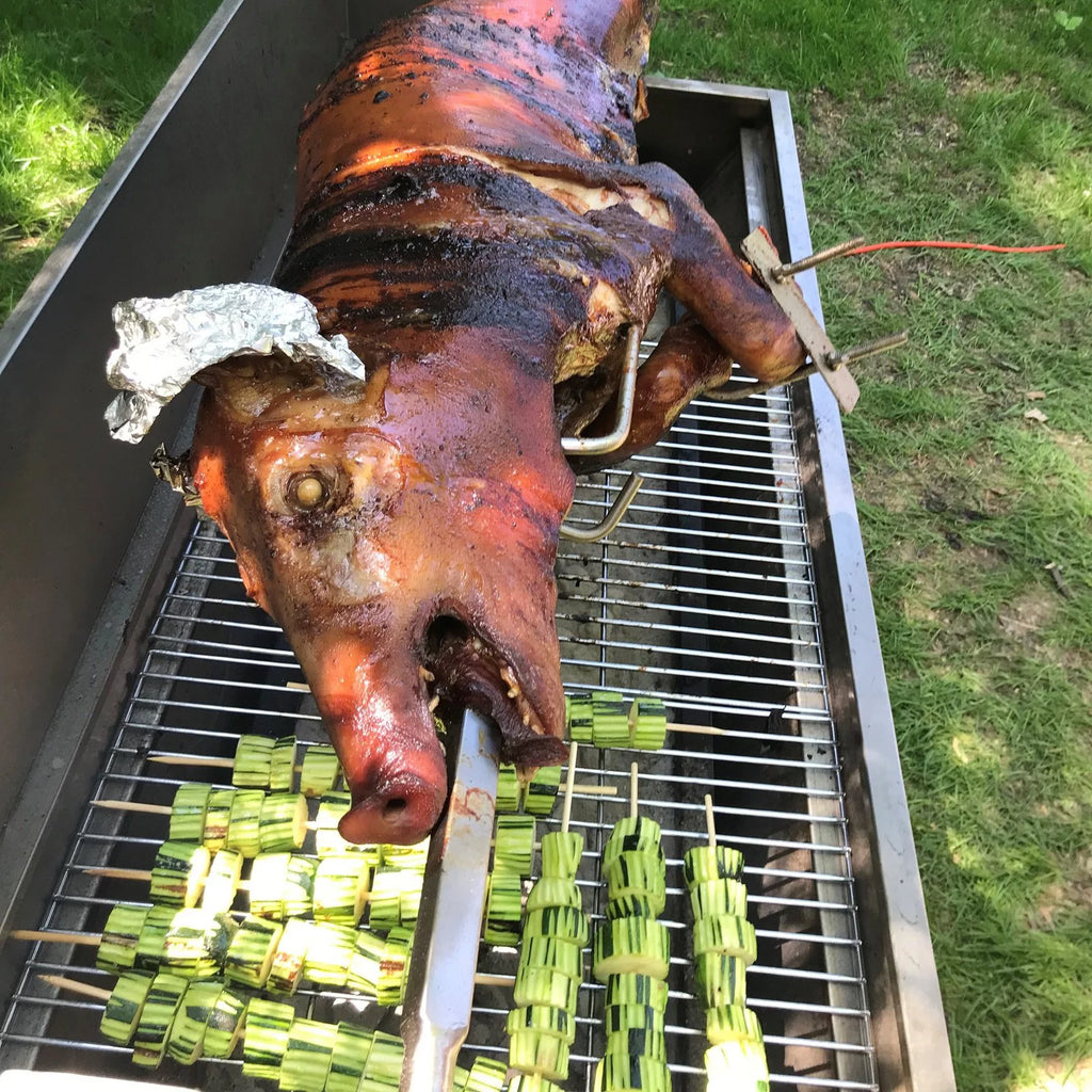Rotisserie Pig Roaster Charcoal Electric Motor Grill D367