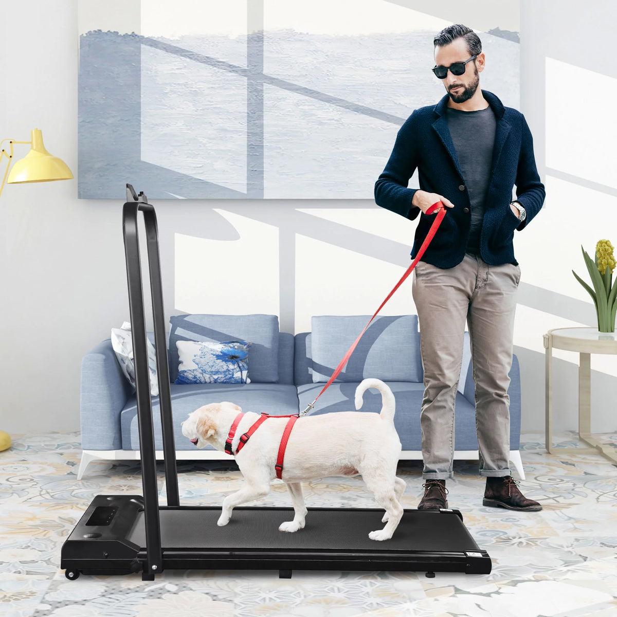 Foldable 2 in 1 Treadmill 1.5 HP R98450