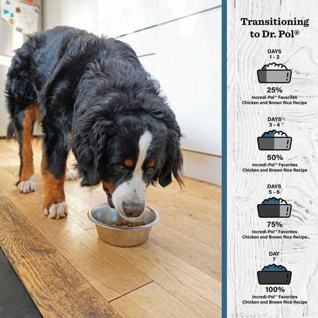 Chicken & Brown Rice Dog Food R331251