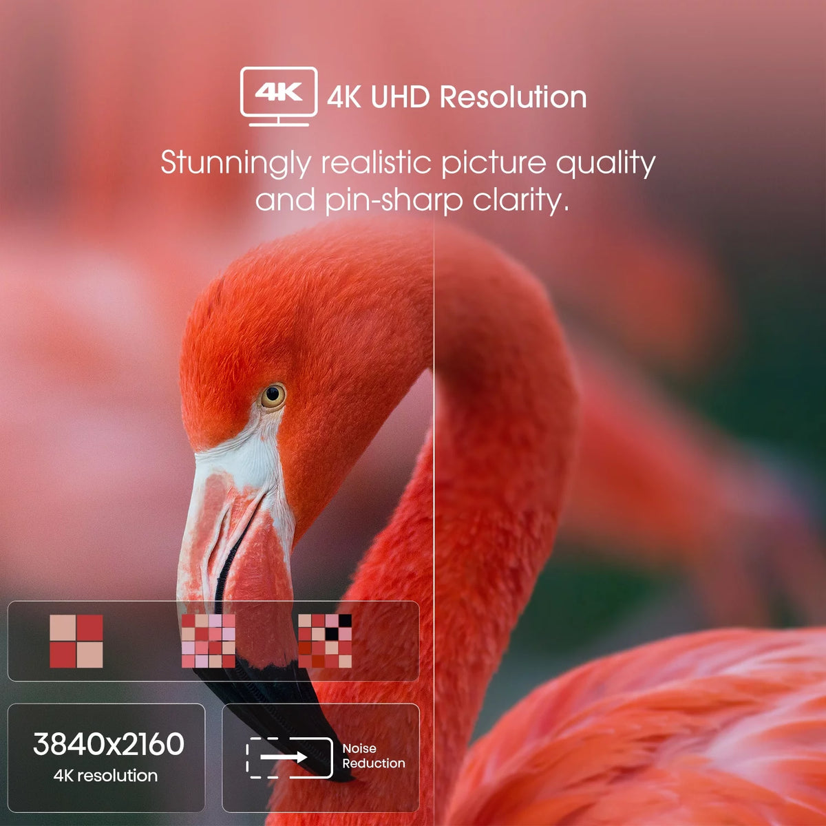 55-Inch 4K UHD Google Smart TV F656