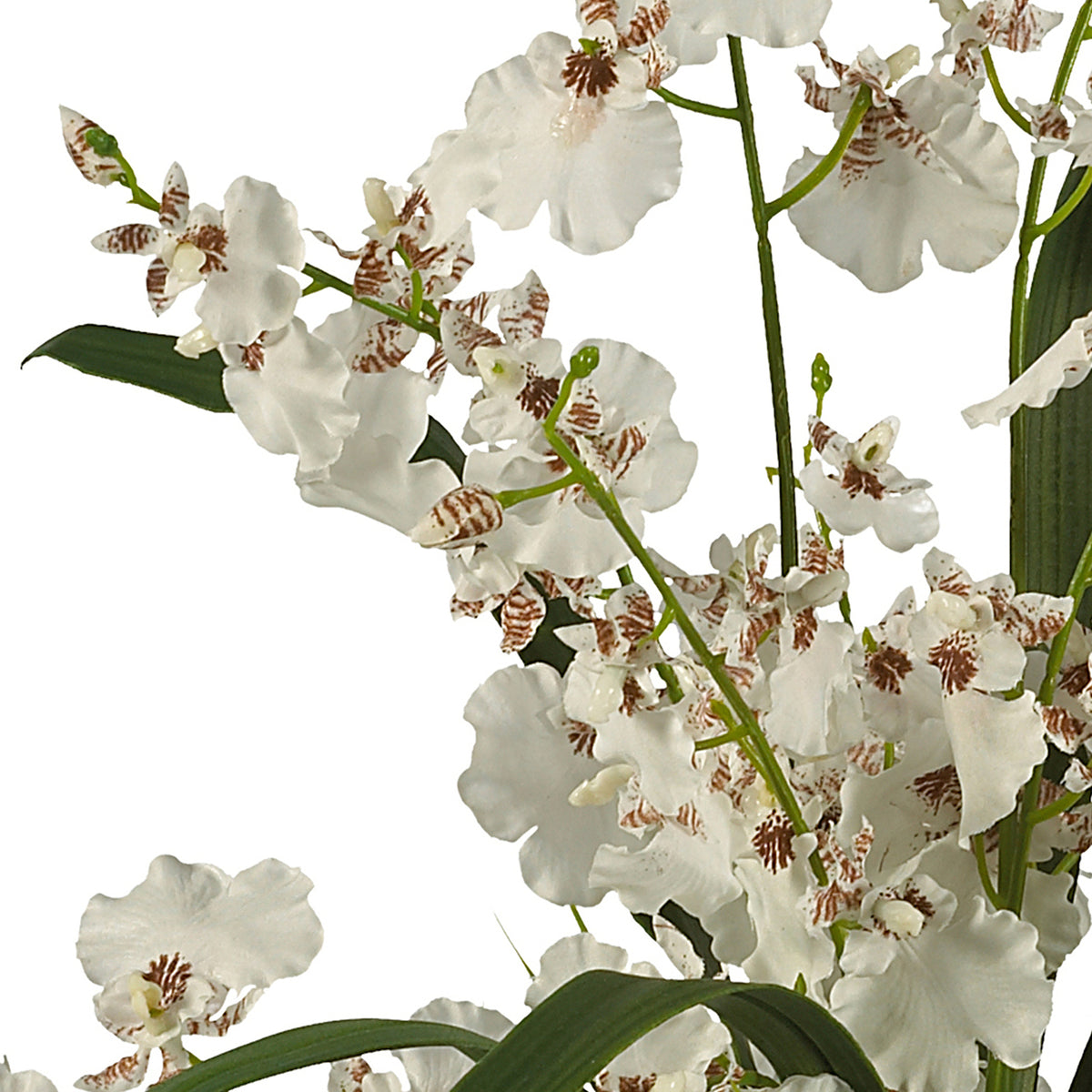 Silk Flower Dancing Lady Orchid R27182