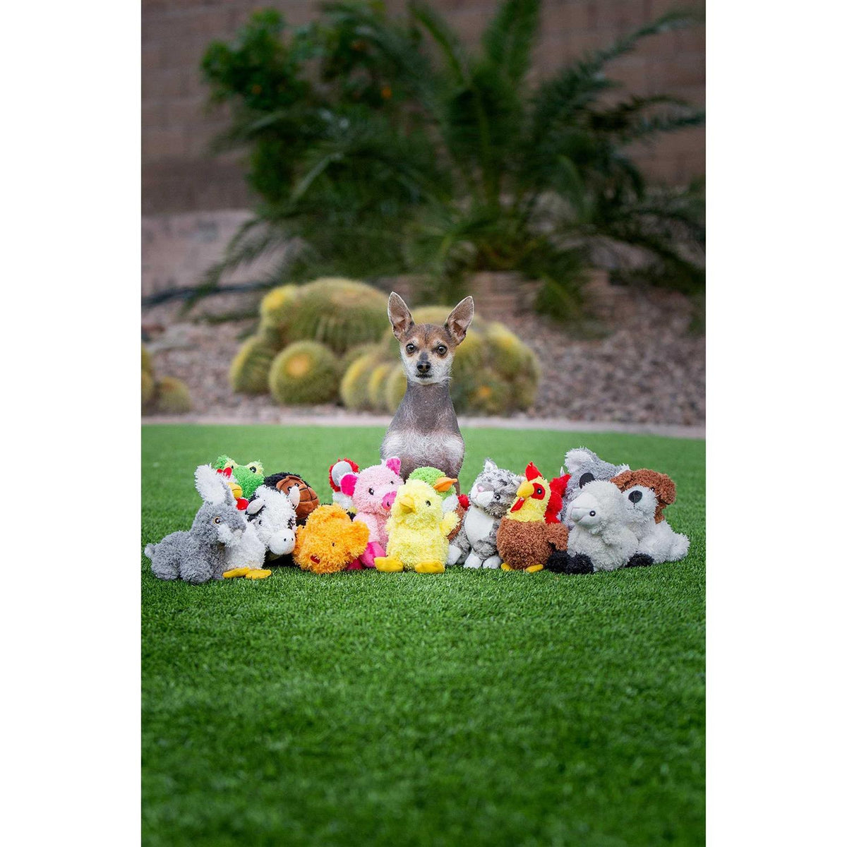 Chicken Dog Toy S95245