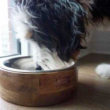 Wood Dog Bowl M8673