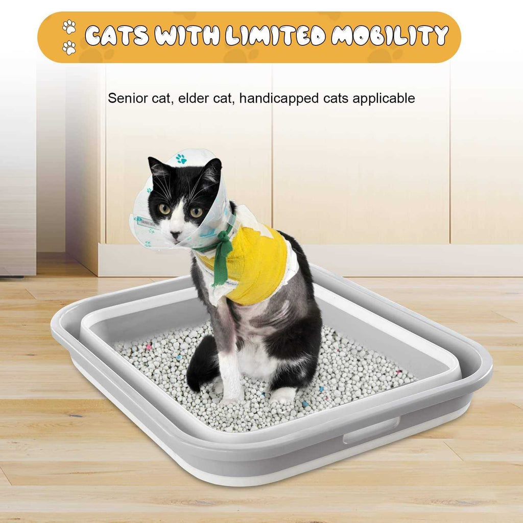Low Entry Open Cat Litter Box L6149