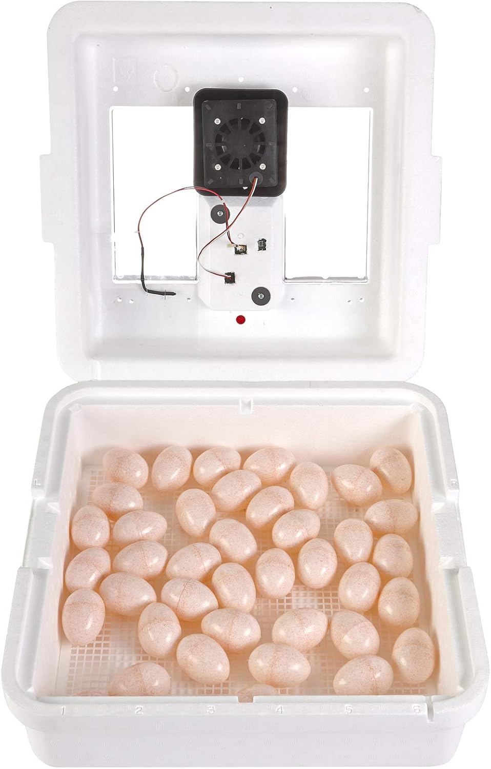 41 Egg Incubator with Temperature and Humidity Control A70026
