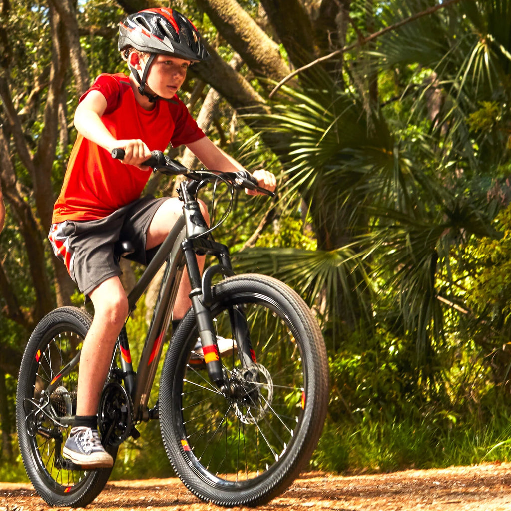 24 21-Speed Mountain Bike with Disc Brakes H109