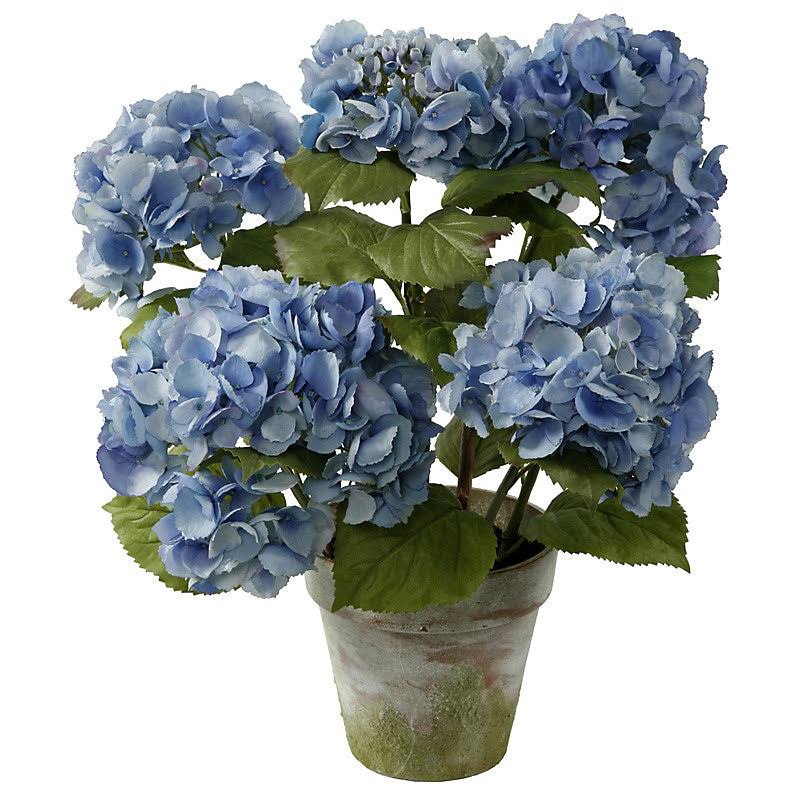 4-Stem Hydrangea Floral Arrangement in Terracotta Pot G5857
