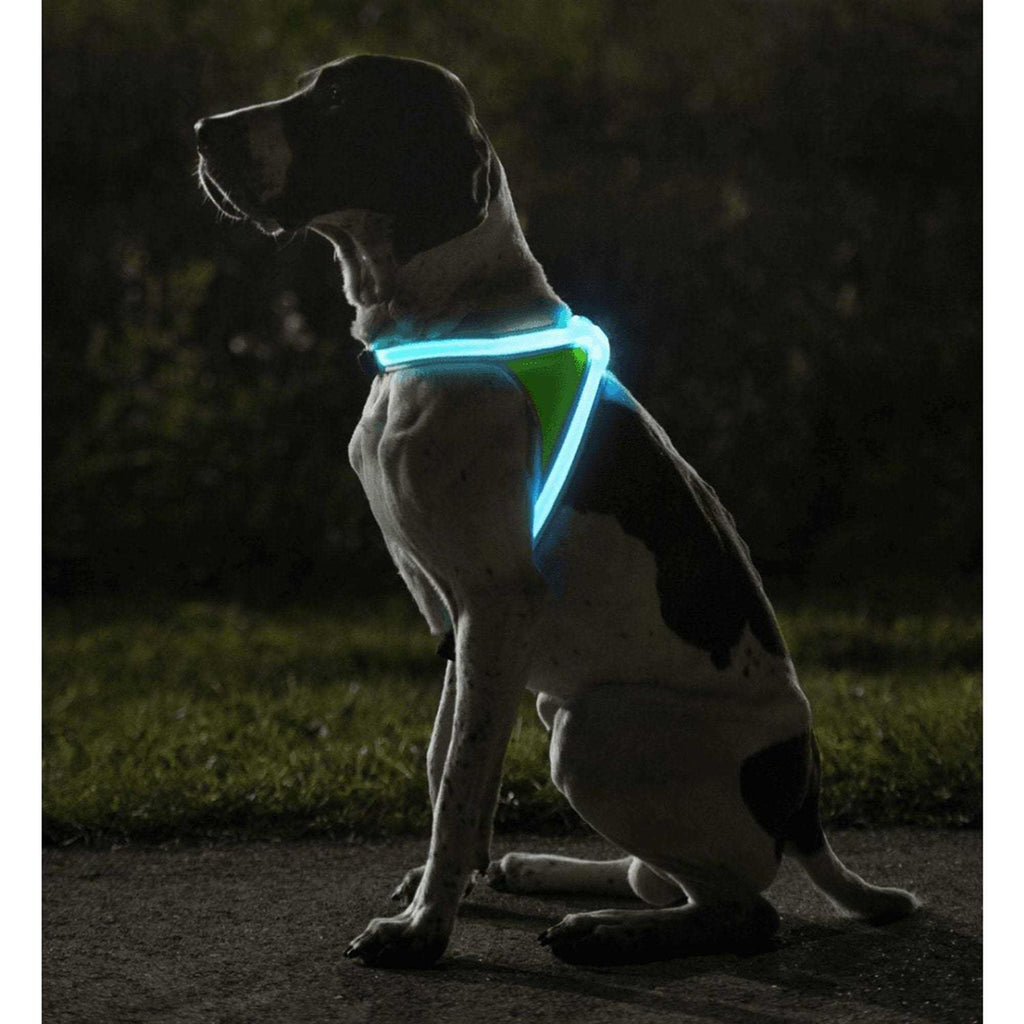 LED Reflective Dog Harness E3059